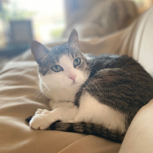 Meet Wendy, a Posh Ambassador! - Picture 13 of 16